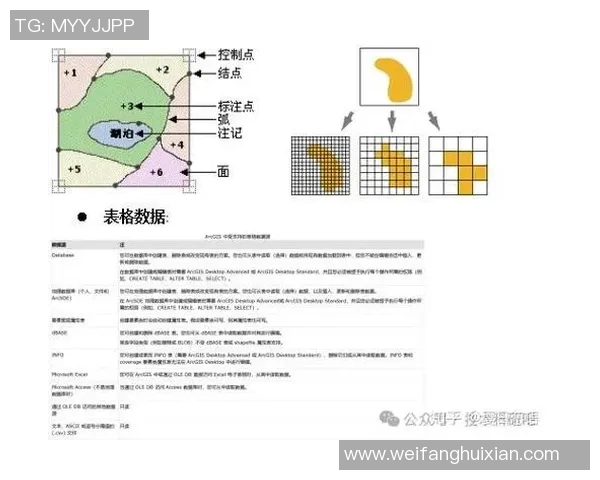 预测：太阳胜率几何？数据模型告诉你答案