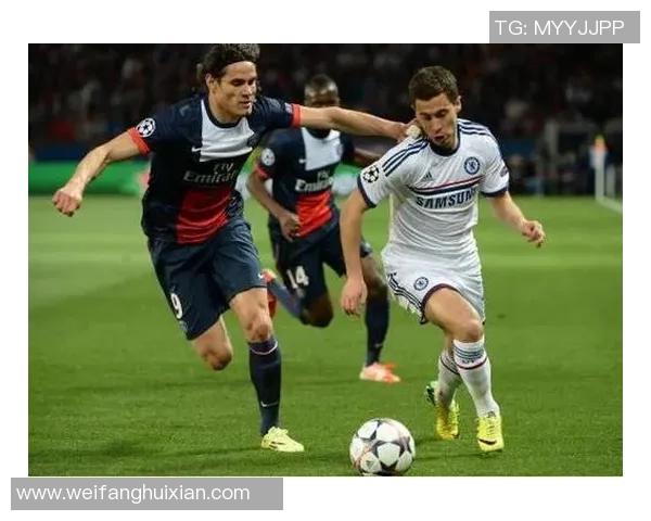 球迷行为学研究